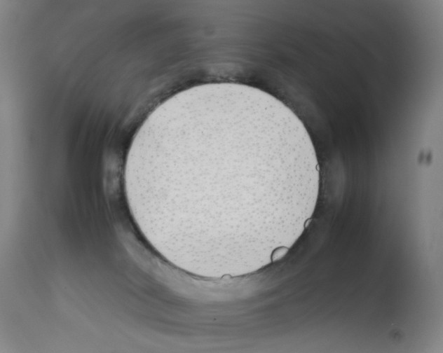 X0000112370038200909241201