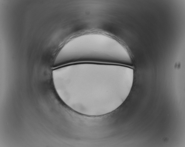X0000112370039200909241201