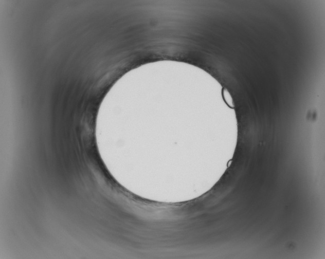 X0000112370040200909241201
