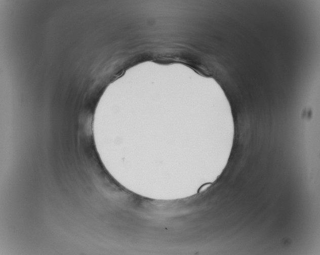 X0000112370041200909241201