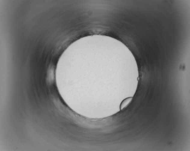 X0000112370042200909241201
