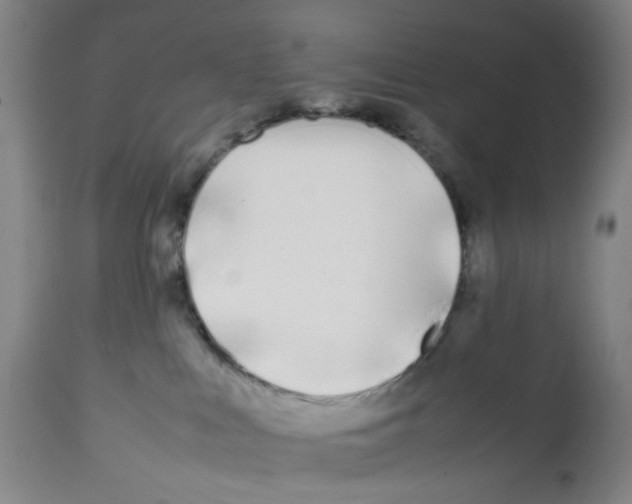 X0000112370043200909241201