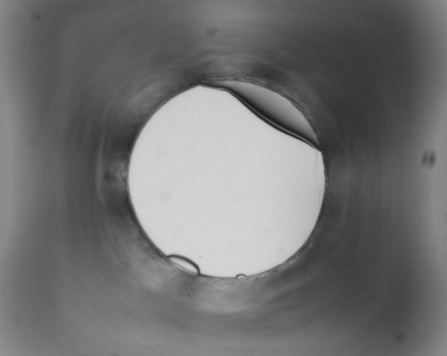 X0000112370045200909241201