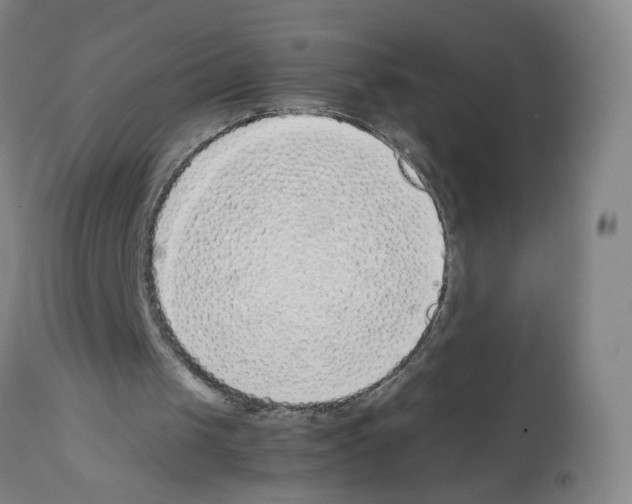 X0000112370049200909241200