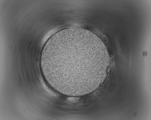 X0000112370051200909241200