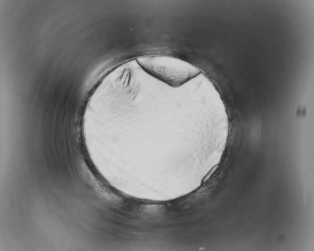 X0000112370053200909241200