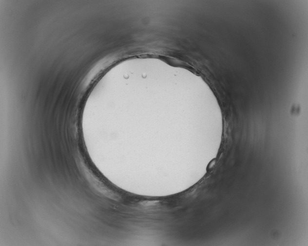 X0000112370054200909241200