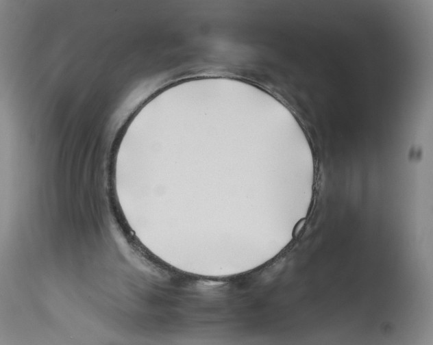 X0000112370055200909241200