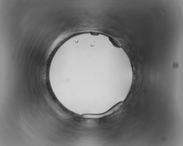 X0000112370056200909241200