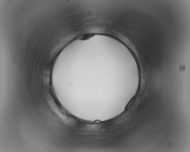 X0000112370057200909241200