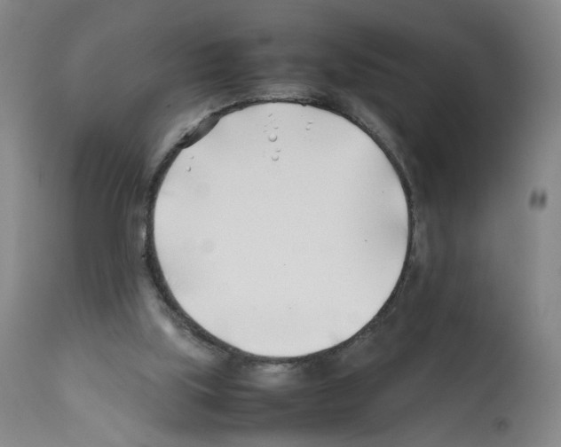 X0000112370059200909241200
