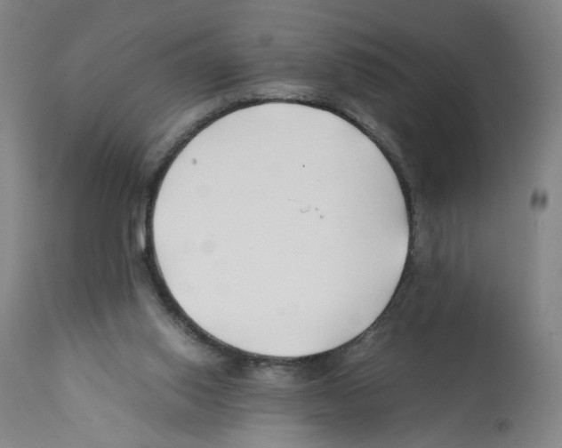 X0000112370062200909241200
