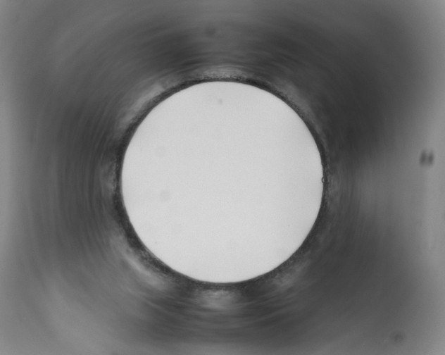 X0000112370063200909241200
