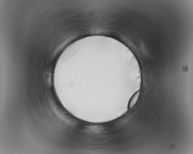 X0000112370067200909241200