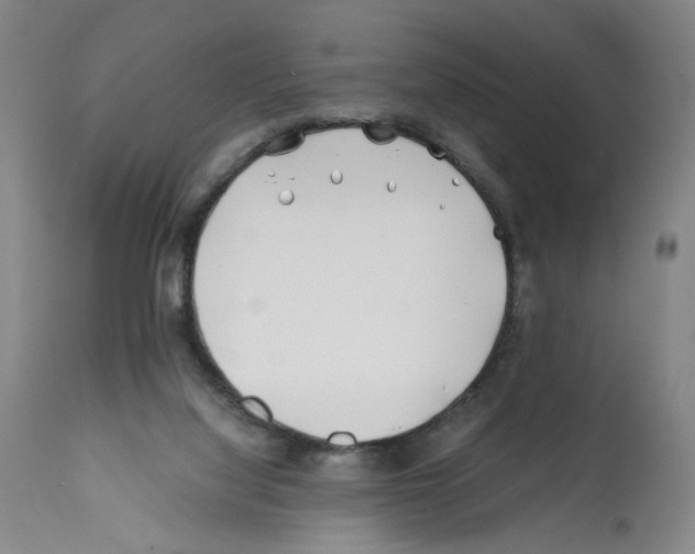 X0000112370068200909241200