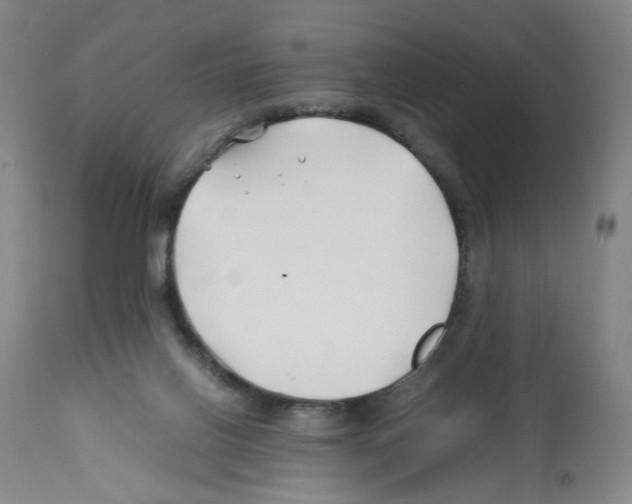 X0000112370070200909241200