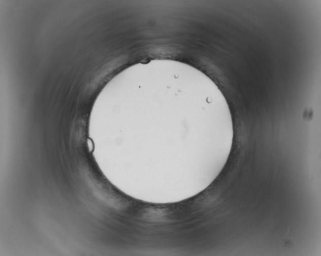 X0000112370071200909241200
