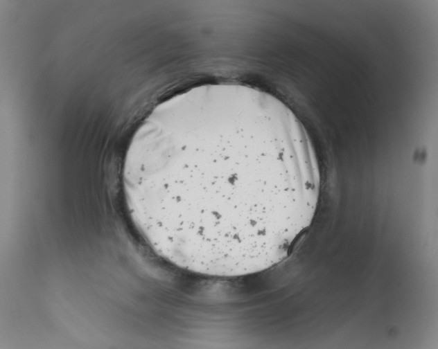 X0000112370074200909241200