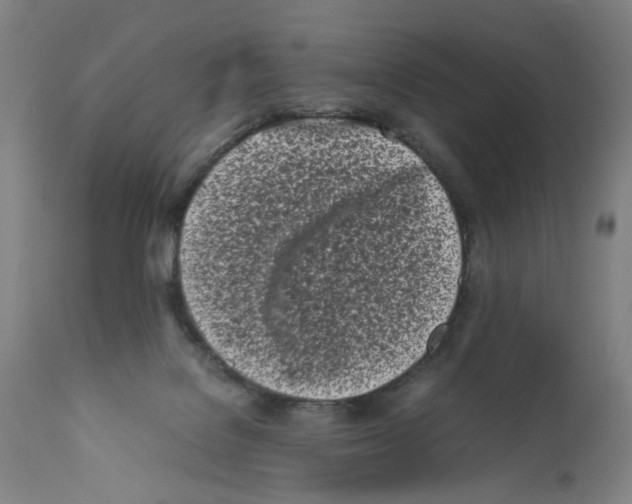 X0000112370076200909241200