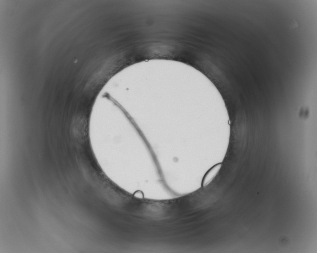 X0000112370079200909241200
