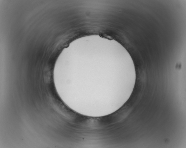 X0000112370080200909241200