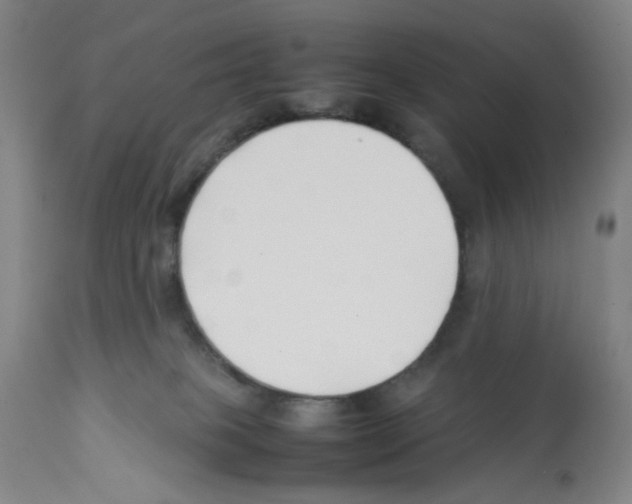X0000112370085200909241201