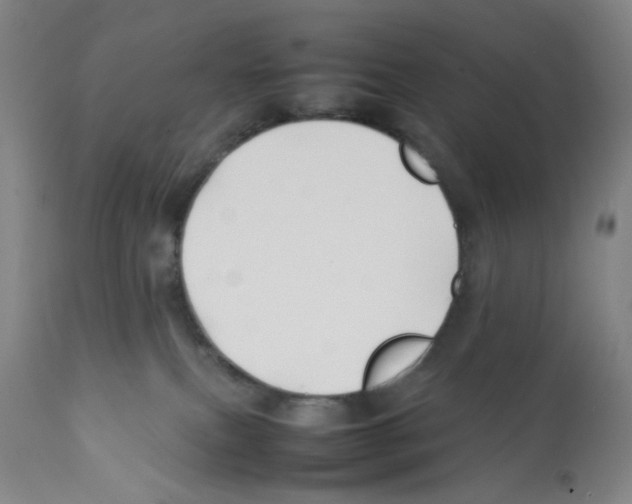 X0000112370087200909241201