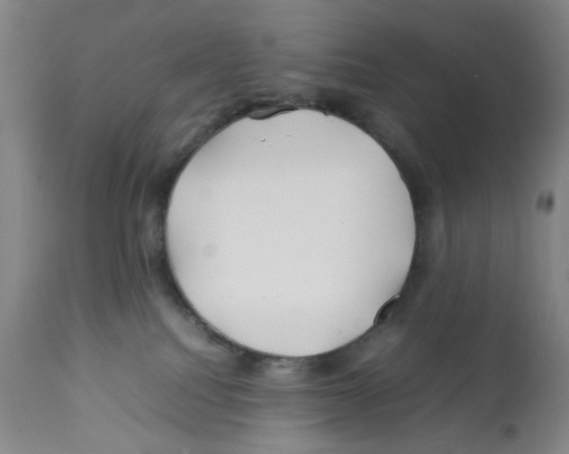 X0000112370088200909241201