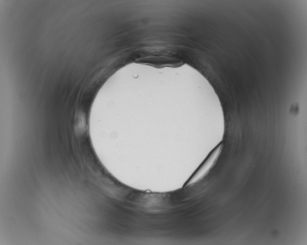 X0000112370089200909241201