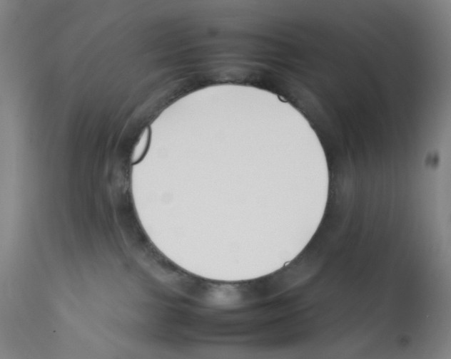 X0000112370091200909241201