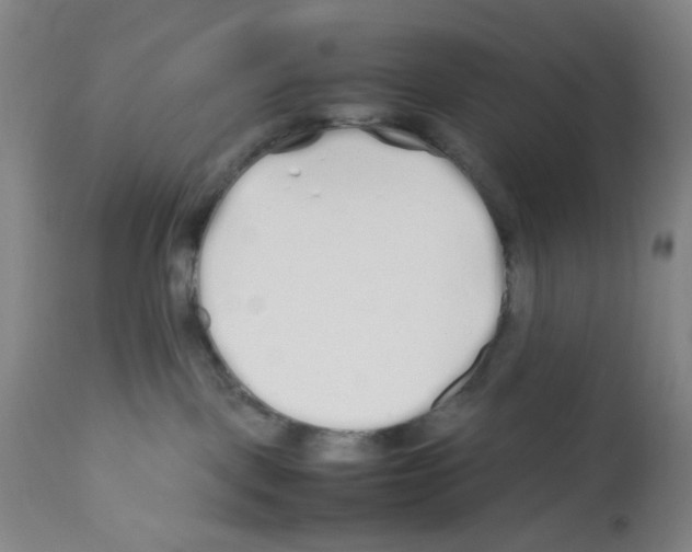 X0000112370093200909241201