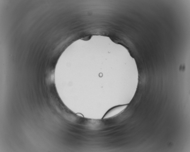 X0000112370095200909241201