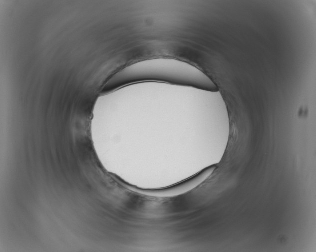 X0000112370096200909241201