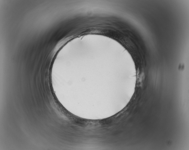 X0000112370099200909241200