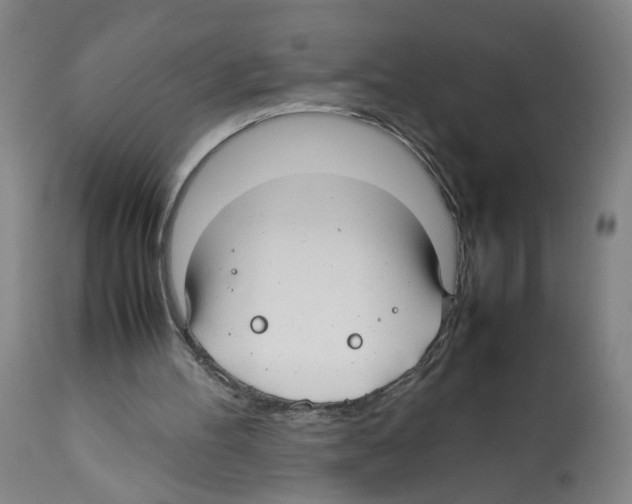 X0000112370100200909241200