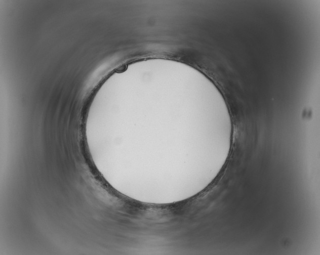 X0000112370101200909241200