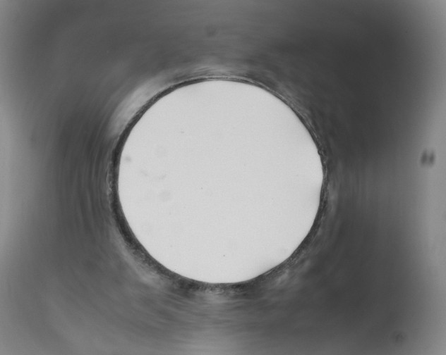 X0000112370103200909241200