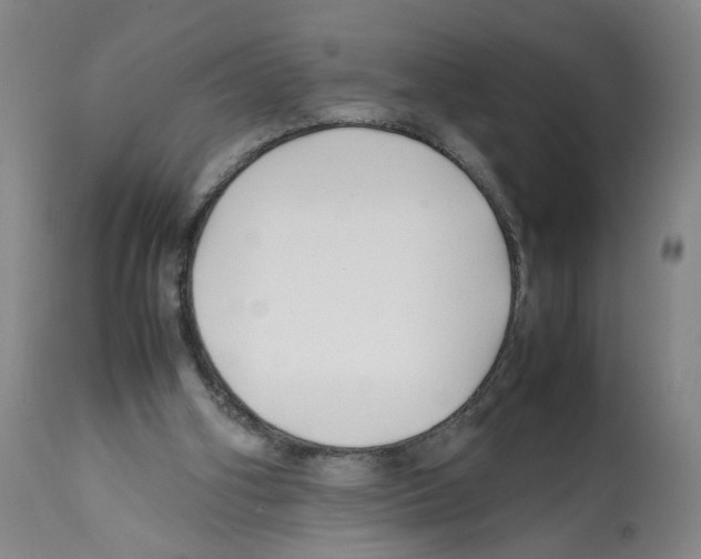 X0000112370106200909241159
