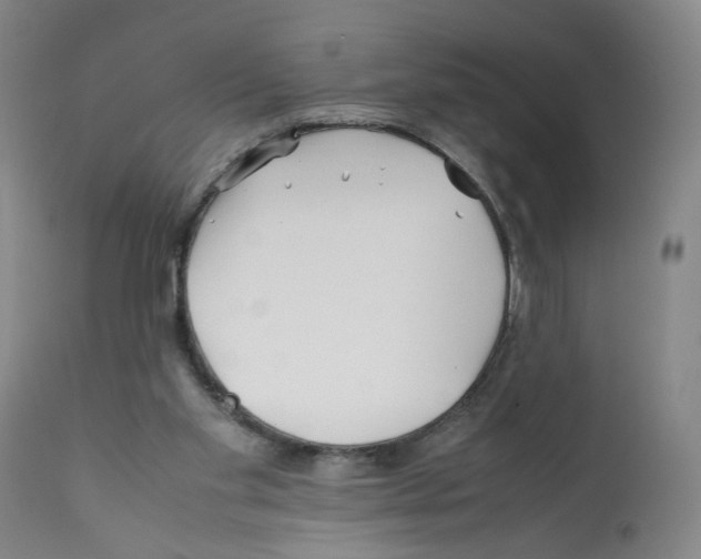 X0000112370109200909241159