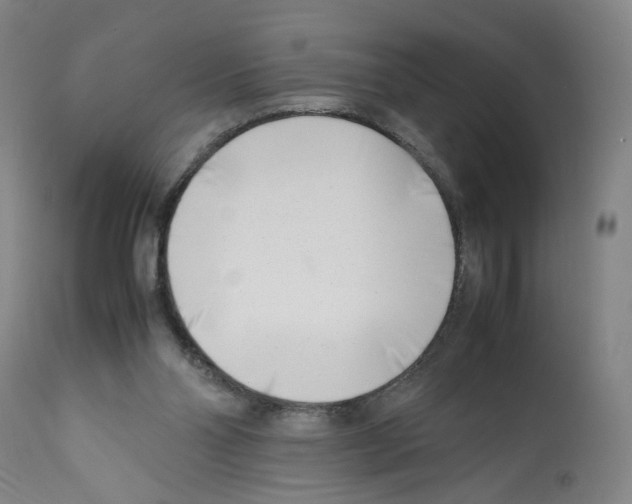 X0000112370110200909241159