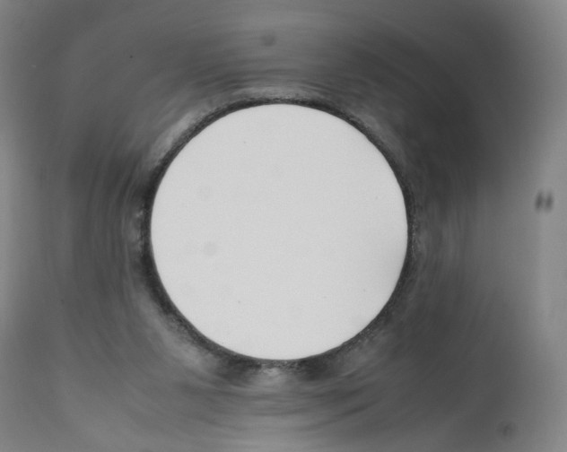 X0000112370111200909241159