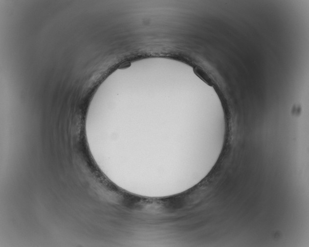 X0000112370113200909241159