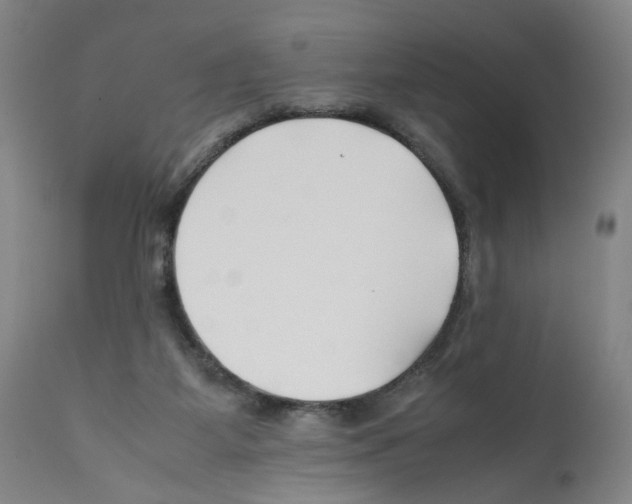 X0000112370115200909241159