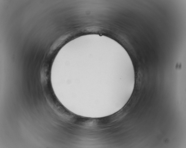 X0000112370116200909241159