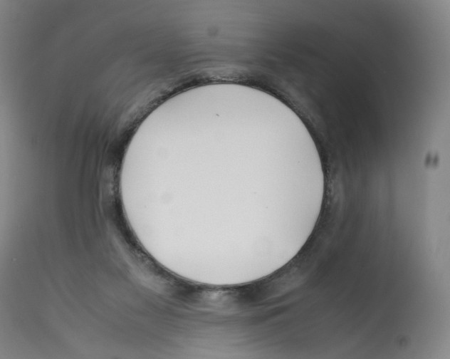 X0000112370117200909241159
