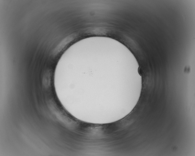 X0000112370120200909241159