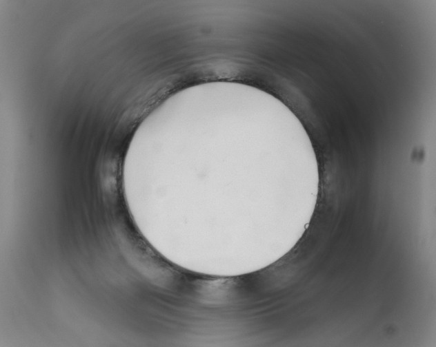 X0000112370122200909241159