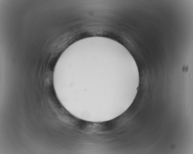 X0000112370125200909241159