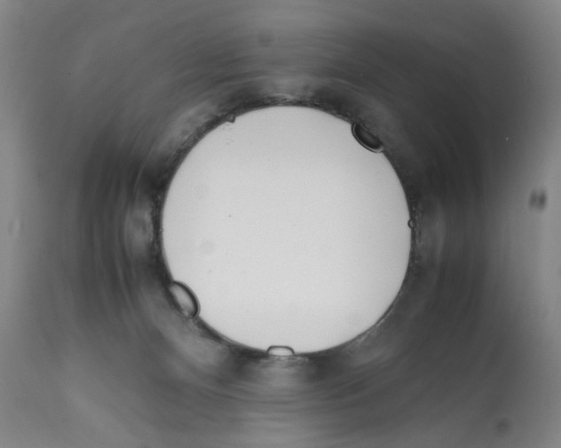 X0000112370128200909241159