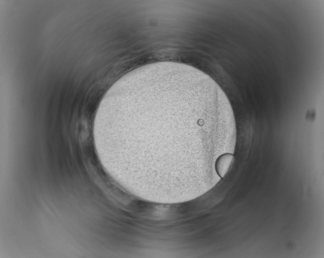 X0000112370130200909241159